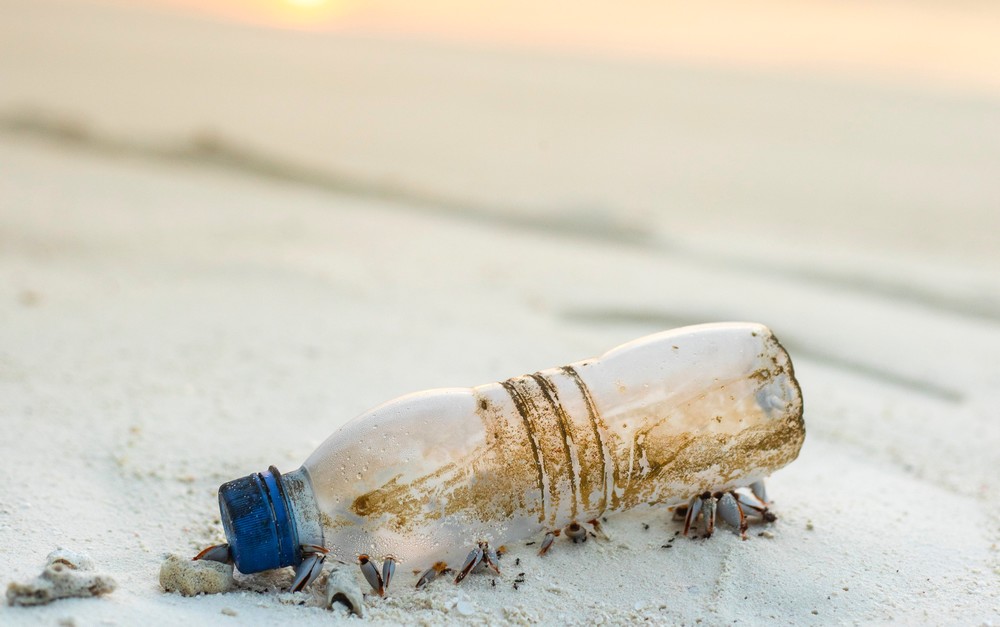 Le plastique: poison des poissons