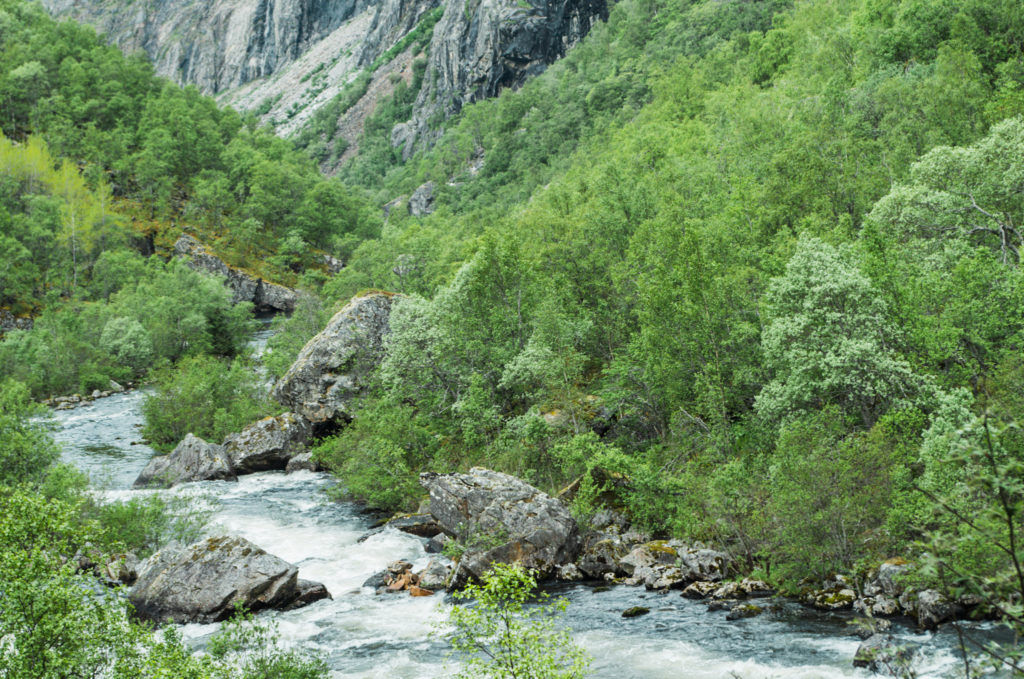 cascade Norvège
