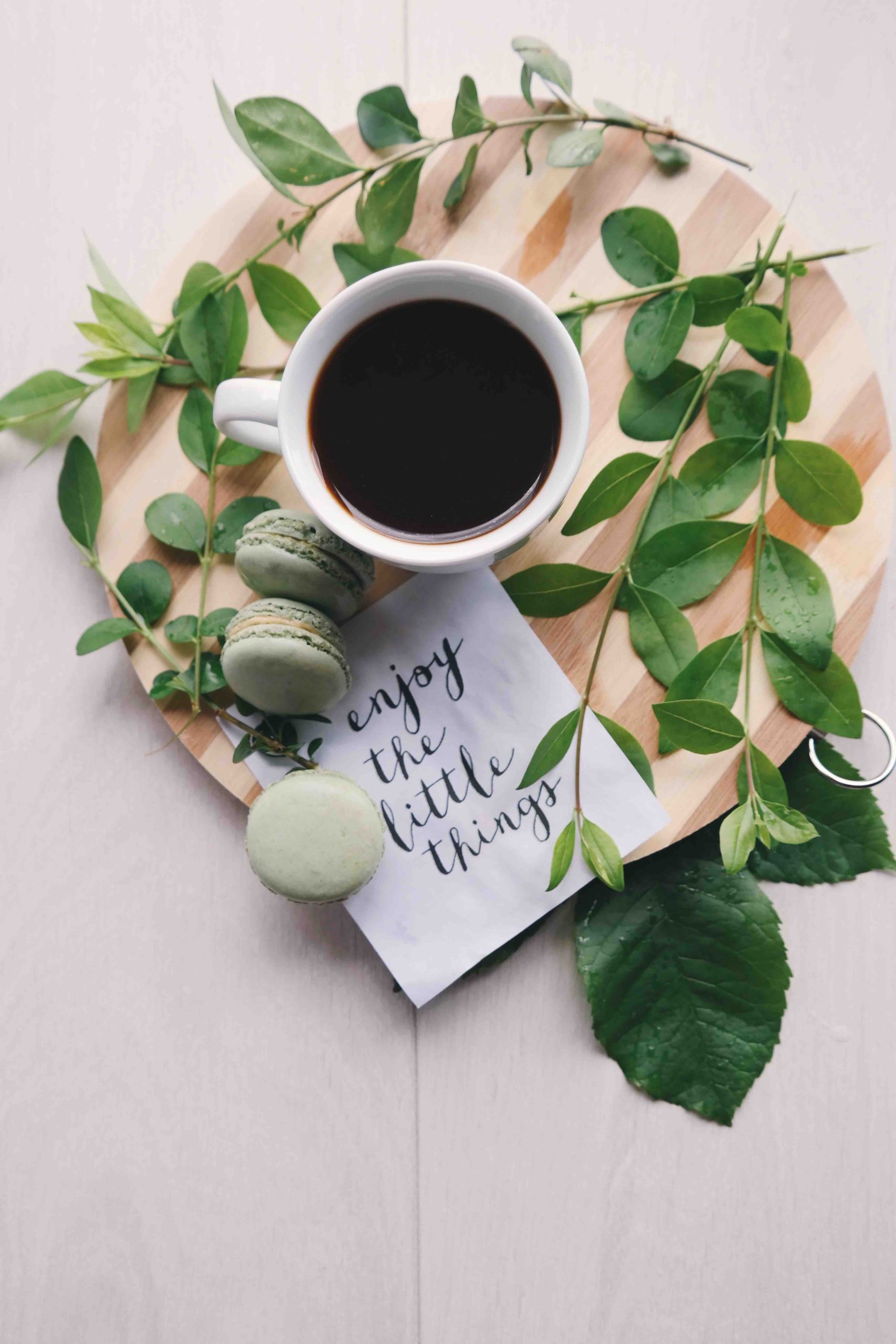 5 raisons de pratiquer la gratitude